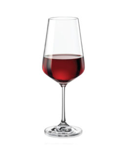 SANDRA450ml - pohár na víno
