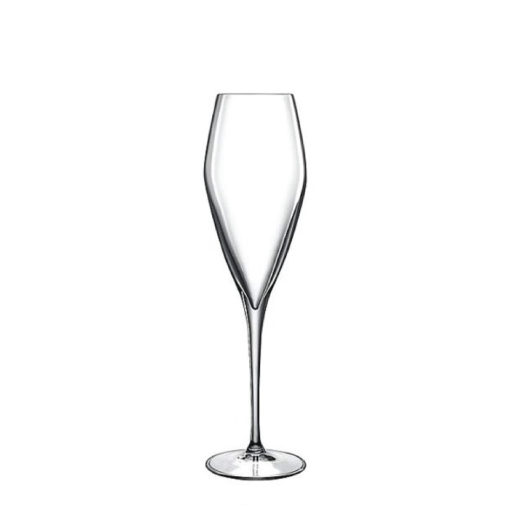 ATELIER 270ml - C319 Prosecco/Champagne