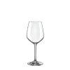 3587_450_scena_sokrates_rona_gastroglass_epohare_pieskovanie_tampoprint_pohar-na-cervene-vino