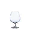40602-875_vintage_crystalex_bohemia-crystal_pohare-na-brandy_pieskovanie-gastroglass_tampoprint-epohare