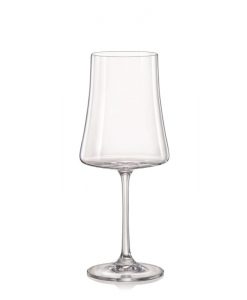 40862-460_xtra_crystalex_bohemia-crystal_pohare-na-cervene-vino_pieskovanie_gastroglass_tampoprint_epohare