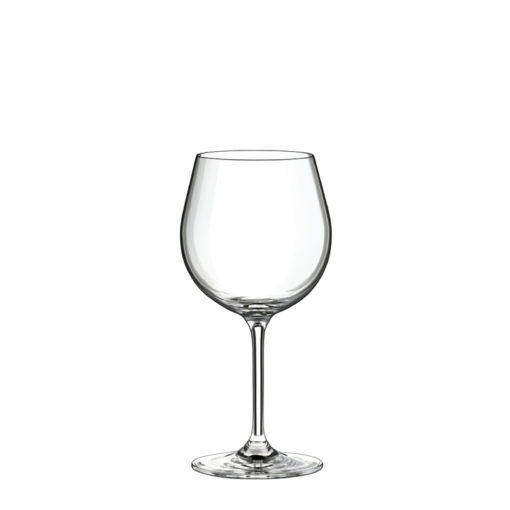 INVITATION 610ml - pohár na víno Burgundy 10
