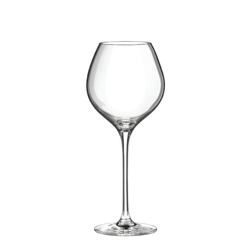 SELECT 650ml - poháre na víno Burgundy 10