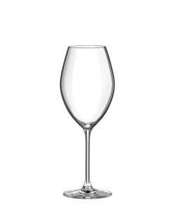 Le Vin 510ml - pohár na víno Syrah / Pinot noir 01